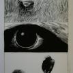 Eye page 46 original art by Dave Mckean 12 x 16 inch pen & ink price %u20AC900